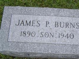 James P Burns