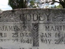 James P Codey James P Codey