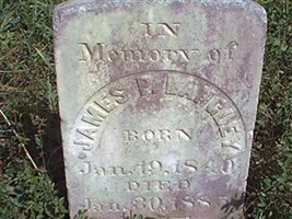 James P Langley