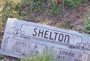 James P Shelton