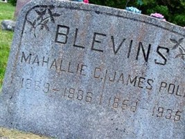 James Polk Blevins James Polk Blevins