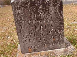 James Powell Curtis