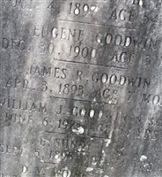 James R Goodwin James R Goodwin