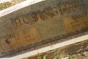 James Redford Robinson