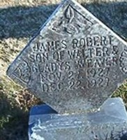 James Robert Weaver