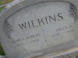 James Robert Wilkins (1855675.jpg)