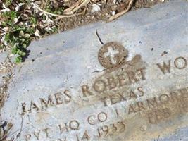 James Robert Woods