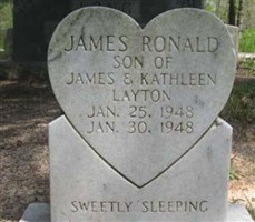 James Ronald Layton