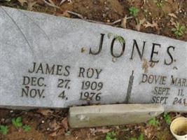 James Roy Jones