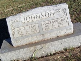 James Runyon Johnson
