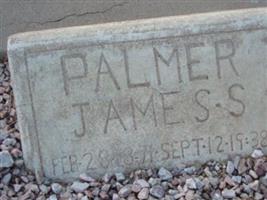 James S Palmer