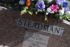 James S. Steadman James S. Steadman