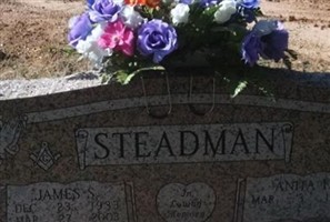 James S. Steadman James S. Steadman
