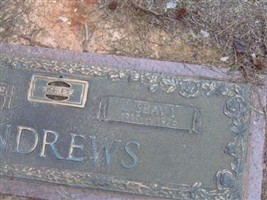 James Seavy Andrews