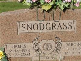 James Snodgrass