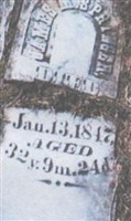 James Springer