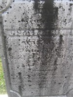 James Strimple