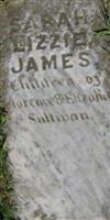 James Sullivan