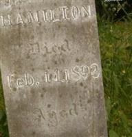 James T Hamilton