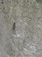 James T. Kerr