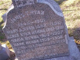 James T Ryan