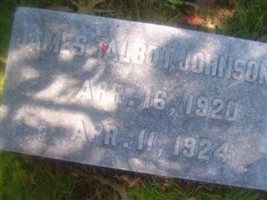 James Talbot Johnson, Jr