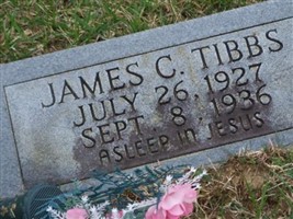 James Tibbs