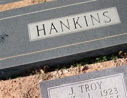 James Troy Hankins
