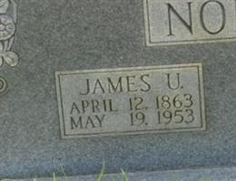 James Ulysses Norwood