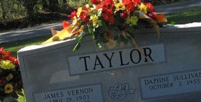 James Vernon Taylor