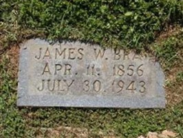 James W Bray James W Bray