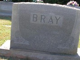 James W Bray James W Bray