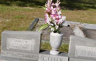 James W Cook James W Cook