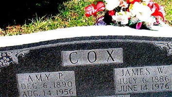 James W. Cox