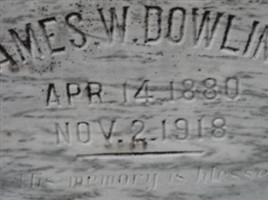 James W Dowling