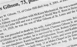 James W. Gibson James W. Gibson
