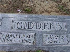 James W. Giddens