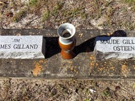 James W Gilland