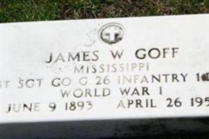 James W Goff