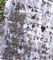 James W. Ireland James W. Ireland