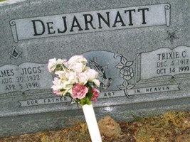 James W "Jiggs" DeJarnatt