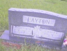 James W. Layton