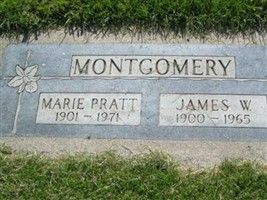 James W Montgomery (2568589.jpg)