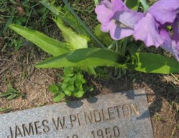 James W. Pendleton