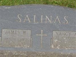 James W. Salinas