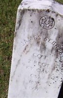 James W Sebree