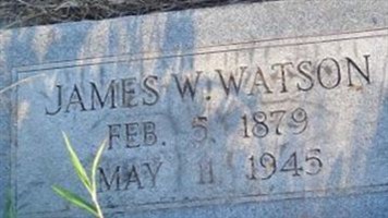 James W Watson James W Watson