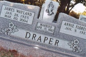 James Wayland Draper James Wayland Draper
