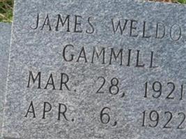 James Weldon Gammill