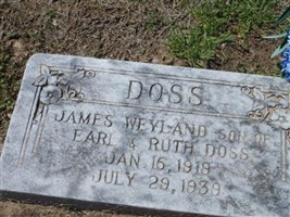 James Weyland Doss (2401703.jpg) James Weyland Doss (2401703.jpg)